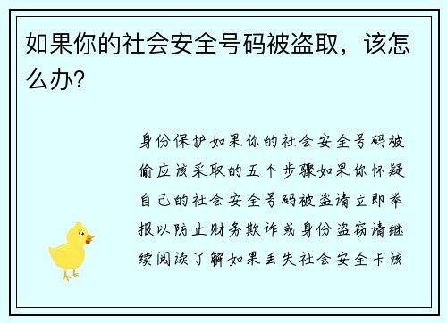 如果你的社会安全号码被盗取，该怎么办？